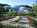 Eden Project